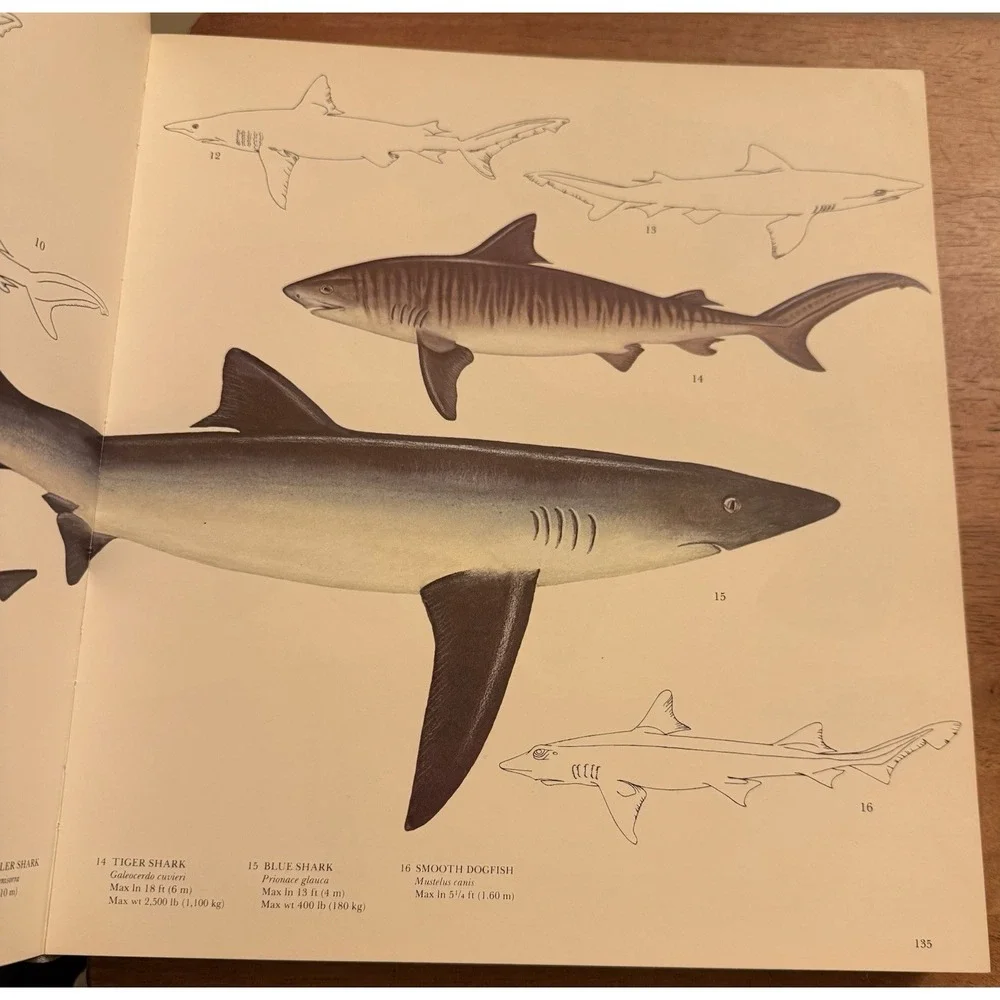 Vintage Book The Lore of Sportfishing by Tre‎ Tryckare 1976 1st Edition RARE